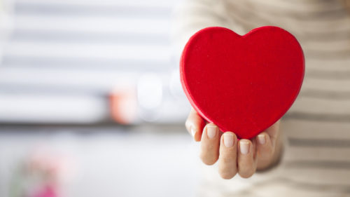 Healthy Habits That Can Keep Your Heart Healthy