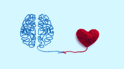 The Love Brain connection
